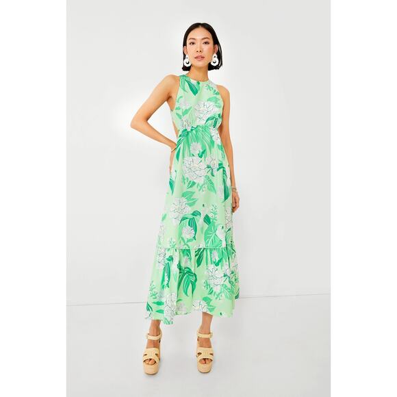 NWT Farm Rio Dew Drop Floral Green Midi Dress Size XS - Picture 1 of 8